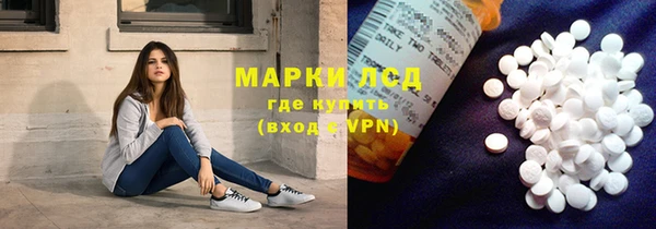 a pvp Бородино