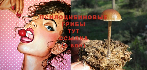 прущий лед Богородицк