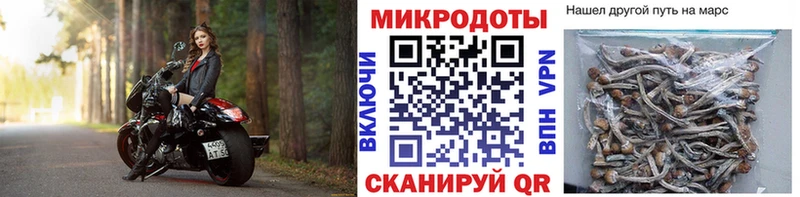Галлюциногенные грибы ЛСД  Гремячинск 